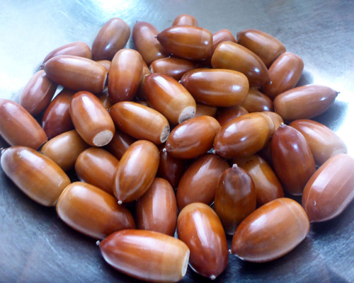 a77fa39e22ab2f476236cd87ba307b