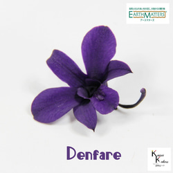 地球農場！永生花「Denfare Purple 1 Flower」Preza Denfare 花材料植物標本室時尚 第1張的照片