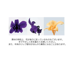 地球農場！永生花「Denfare Purple 1 Flower」Preza Denfare 花材料植物標本室時尚 第3張的照片