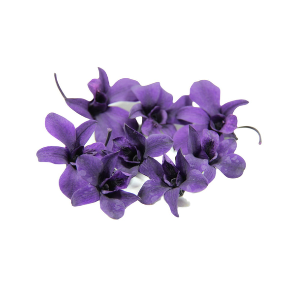 地球農場！永生花「丹法紫 8 朵花」Preza Denfare 花材植物標本室時尚 第2張的照片