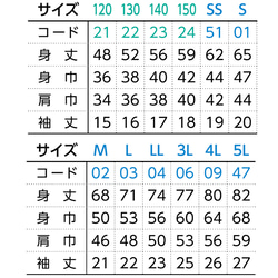  第4張的照片