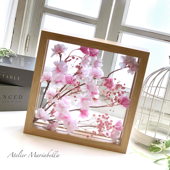 プリザーブド入りに咲き誇る桜アレンジ/誕生日・新築祝い・結婚祝い・開店祝い・母の日・父の日 4枚目の画像