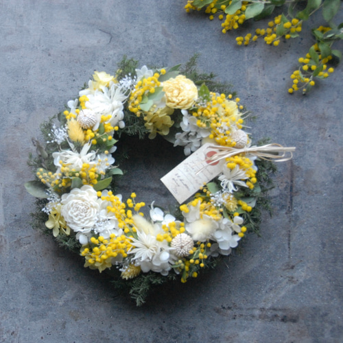 期間限定✨ミモザのふんわりリース✨~~かすみ草とユーカリ&ドライ