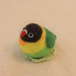 飼い鳥シリーズ～キエリクロボタンインコ～ 3枚目の画像