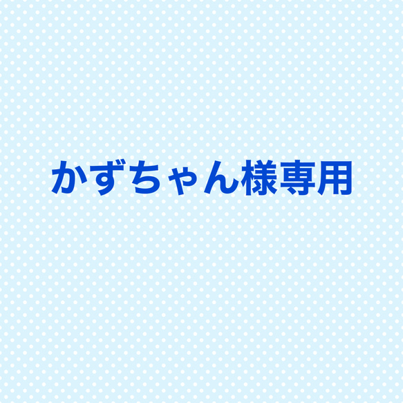 かずちゃん様専用　白　大人プリーツマスク サークルレース　ワイヤー入り 1枚目の画像