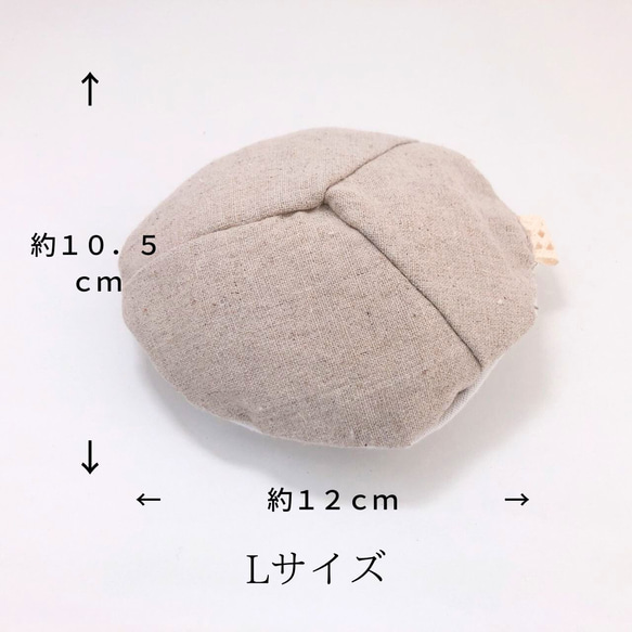  第6張的照片