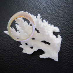夜光貝指輪　２０号Ｌ　シェルリング５８ 2枚目の画像