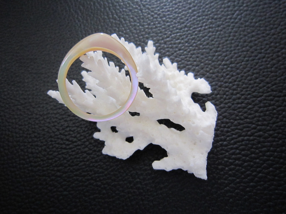 夜光貝指輪　２０号Ｌ　シェルリング５８ 2枚目の画像