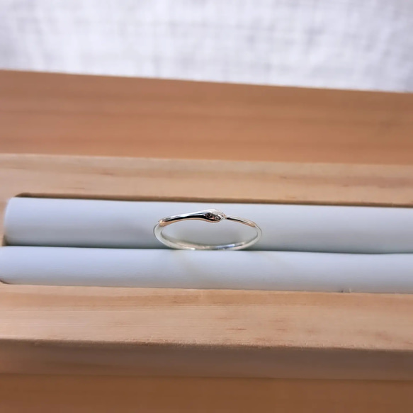  第2張的照片