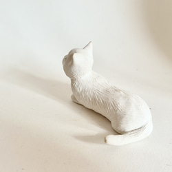 白猫ちゃん(伏せ) 5枚目の画像