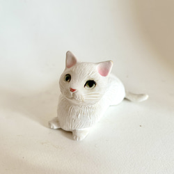 白猫ちゃん(伏せ) 1枚目の画像