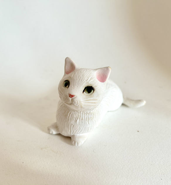 白猫ちゃん(伏せ) 1枚目の画像