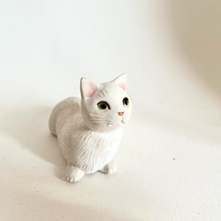 白猫ちゃん(伏せ) 2枚目の画像