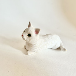 白猫ちゃん(伏せ) 6枚目の画像