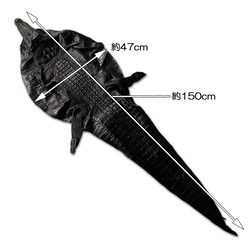 希少 超特大 クロコダイル  横約47ｃｍ×縦約150cｍ 頭付き ワニ革 ホーンバック (背革) レザー 一枚革 6枚目の画像