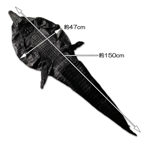 希少 超特大 クロコダイル 横約47cm×縦約150cm 頭付き ワニ革