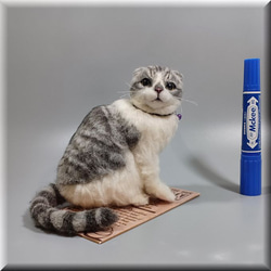羊毛フェルト　猫　スコティッシュフォールド　ねこ　ネコ　猫フィギュア 8枚目の画像