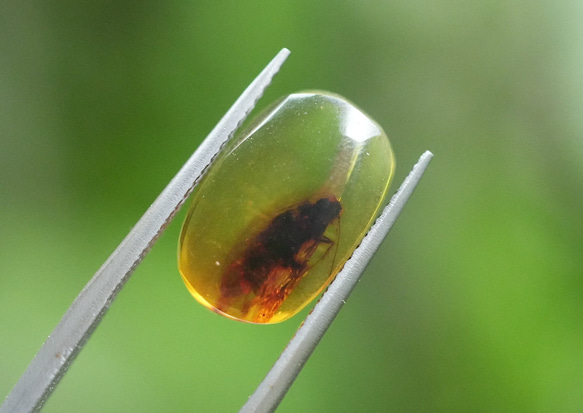 レアもの 大きな虫☆ 天然琥珀アンバー s1101 天然石 Funky