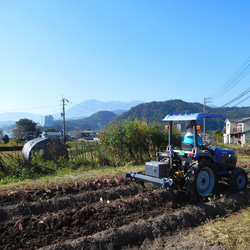 甘～い♪冷凍焼き芋1.4kg（食べやすいミニサイズ・自然栽培紅はるか使用） 8枚目の画像