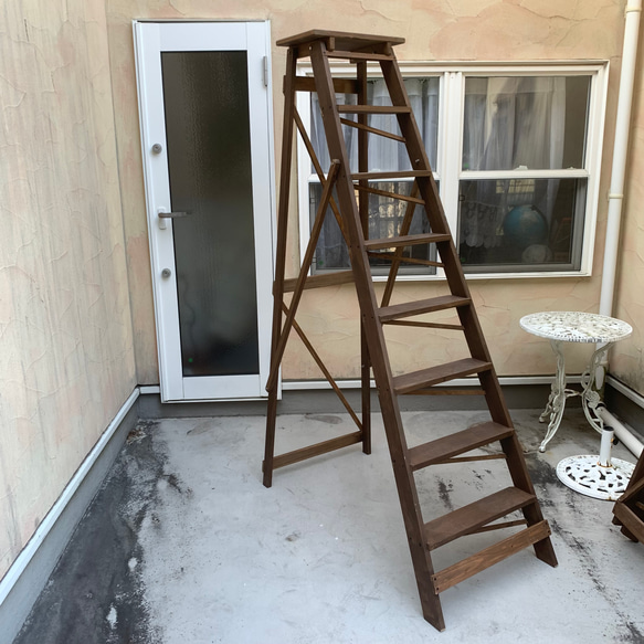 h1800メガビッグなウッドラダー① h1800メガビッグなウッドラダー① 【公式通販】