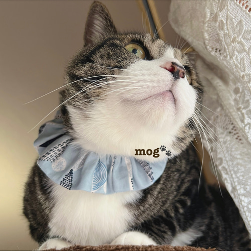 北欧風＊BLUE garland猫シュシュ首輪 リード・首輪 mog 通販