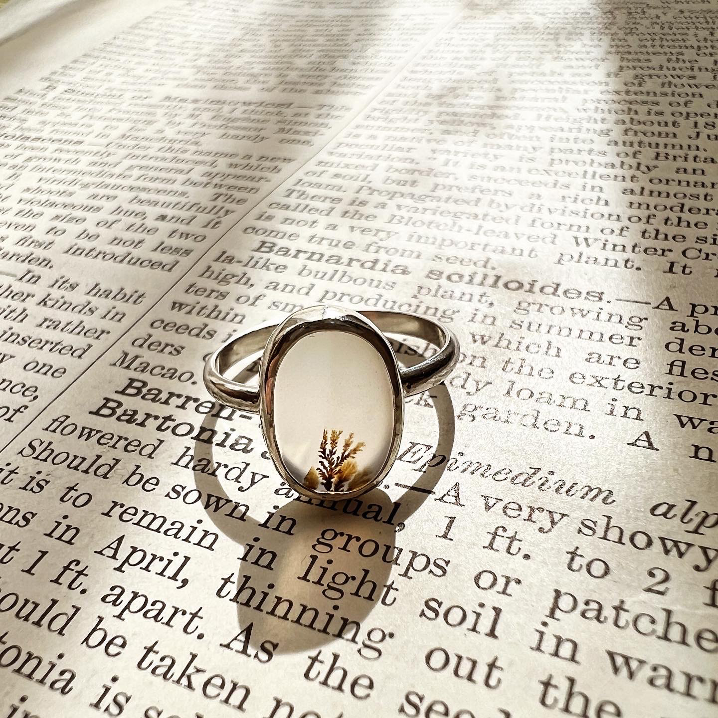 Dendritic Agate Ring