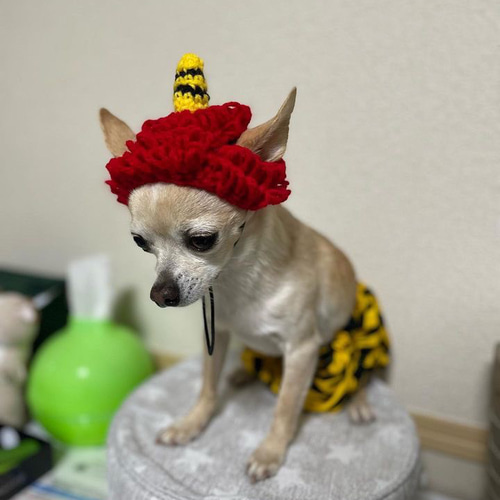 犬用 節分 ☆パンツ 単品☆ ペット服・アクセサリー nana16shop