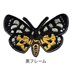 【ワッペン】Moth（蛾）シリーズ　トラガ展翅バージョン 1枚目の画像