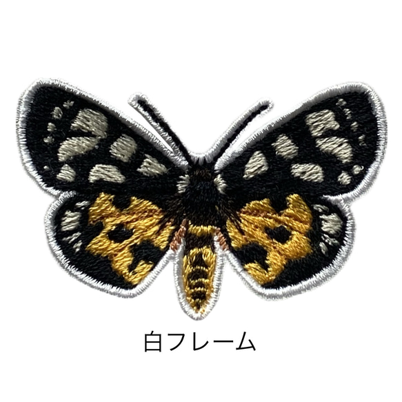 【ワッペン】Moth（蛾）シリーズ　トラガ展翅バージョン 2枚目の画像