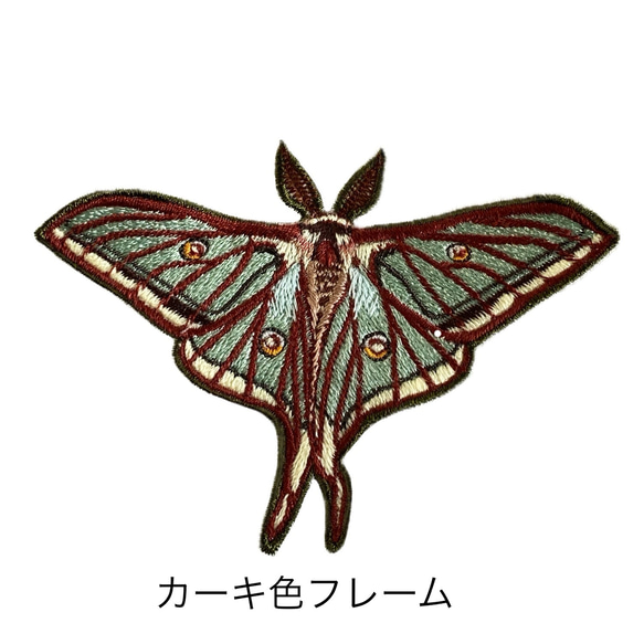 【ワッペン】Moth（蛾）シリーズ　イザベラミズアオ 5枚目の画像