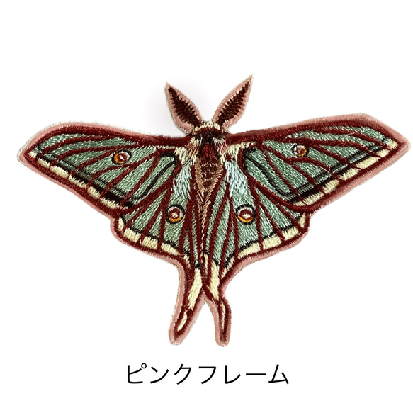 【ワッペン】Moth（蛾）シリーズ　イザベラミズアオ 6枚目の画像