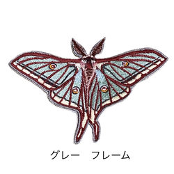 【ワッペン】Moth（蛾）シリーズ　イザベラミズアオ 3枚目の画像