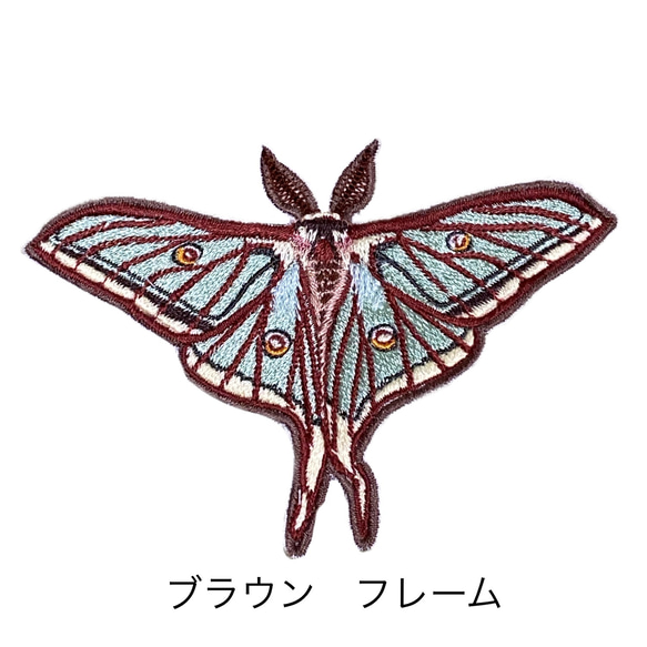 【ワッペン】Moth（蛾）シリーズ　イザベラミズアオ 4枚目の画像