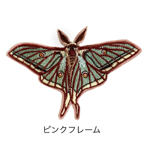 イザベラミズアオ　87mm ワッペン】Moth（蛾）シリーズ イザベラミズアオ ワッペン