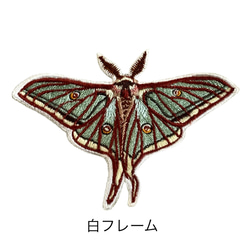 【ワッペン】Moth（蛾）シリーズ　イザベラミズアオ 1枚目の画像