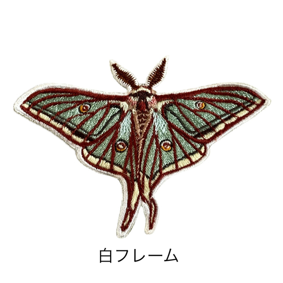 イザベラミズアオ　87mm ワッペン】Moth（蛾）シリーズ イザベラミズアオ ワッペン