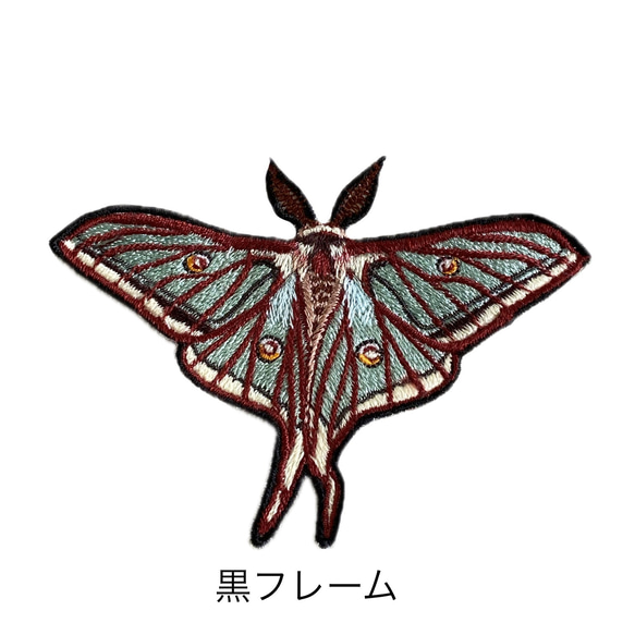 【ワッペン】Moth（蛾）シリーズ　イザベラミズアオ 2枚目の画像