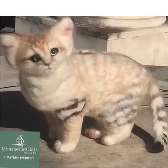 冬季セール☆羊毛フェルトのスナネコ子猫 11枚目の画像