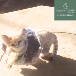 冬季セール☆羊毛フェルトのスナネコ子猫 15枚目の画像