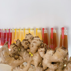 ジンジャーシロップ　ハニーレモン　大生姜使用 6枚目の画像