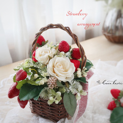 95ecd04524cbac55a9115d1812cf21