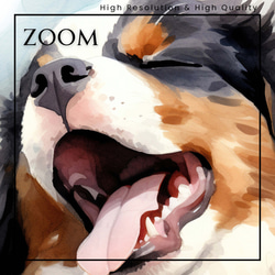 【夢心地 - バーニーズマウンテン犬の子犬 No.1】風水画 アートポスター 犬の絵 犬の絵画 犬のイラスト 3枚目の画像