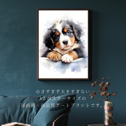 【夢心地 - バーニーズマウンテン犬の子犬 No.2】風水画 アートポスター 犬の絵 犬の絵画 犬のイラスト 2枚目の画像