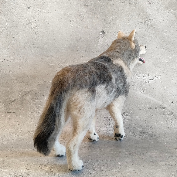 ウルフドッグさん 11枚目の画像