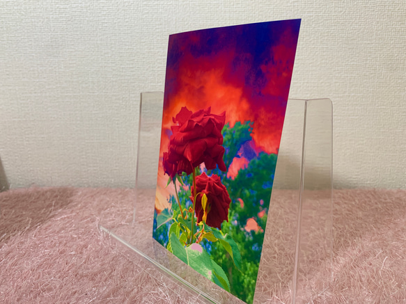【No.034】花 フラワーアート ポストカード1枚　裏無地 2枚目の画像