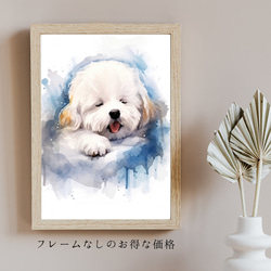 【夢心地 - ビジョンフリーゼ犬の子犬 No.3】風水画 アートポスター 犬の絵 犬の絵画 犬のイラスト 5枚目の画像