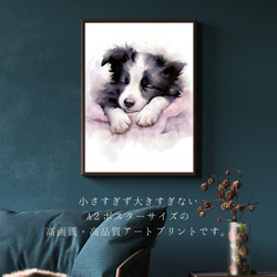 【夢心地 - ボーダーコリー犬の子犬 No.1】風水画 アートポスター 犬の絵 犬の絵画 犬のイラスト 2枚目の画像