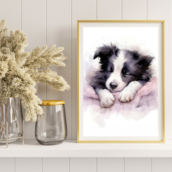 【夢心地 - ボーダーコリー犬の子犬 No.1】風水画 アートポスター 犬の絵 犬の絵画 犬のイラスト 8枚目の画像