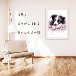 【夢心地 - ボーダーコリー犬の子犬 No.1】風水画 アートポスター 犬の絵 犬の絵画 犬のイラスト 6枚目の画像