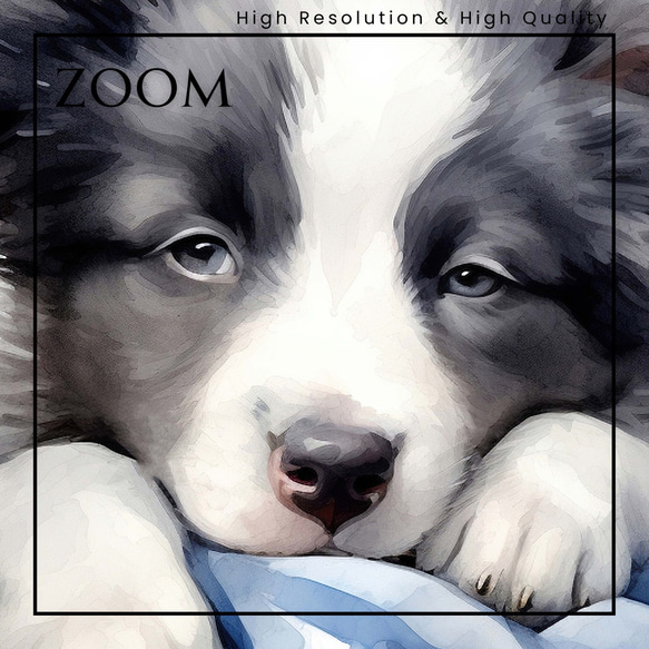 【夢心地 - ボーダーコリー犬の子犬 No.2】風水画 アートポスター 犬の絵 犬の絵画 犬のイラスト 3枚目の画像